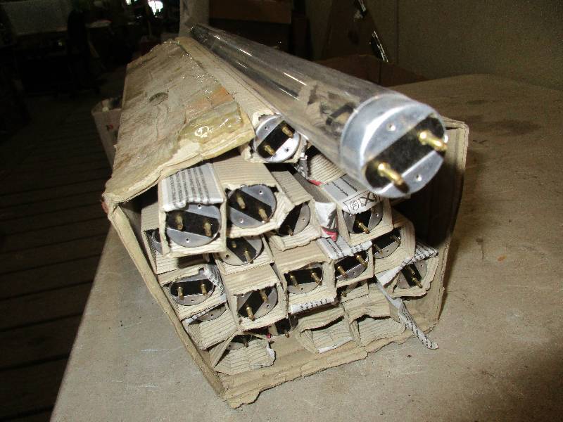 lot 122 image: Philips florescent light bulbs TUV15W615T8