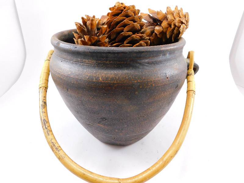 lot 33 image: Metal Pot filled with Giant Pinecombs