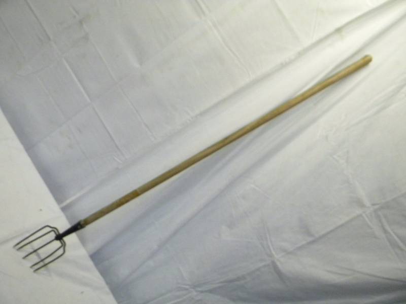 Five prong fishing spear