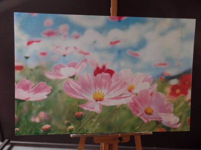 Floral On Plastic Canvas
