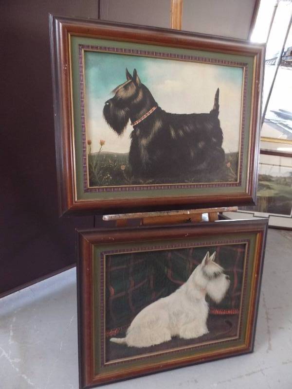 Framed Art