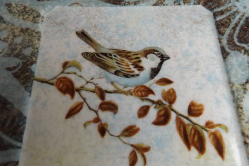 Bird Plates