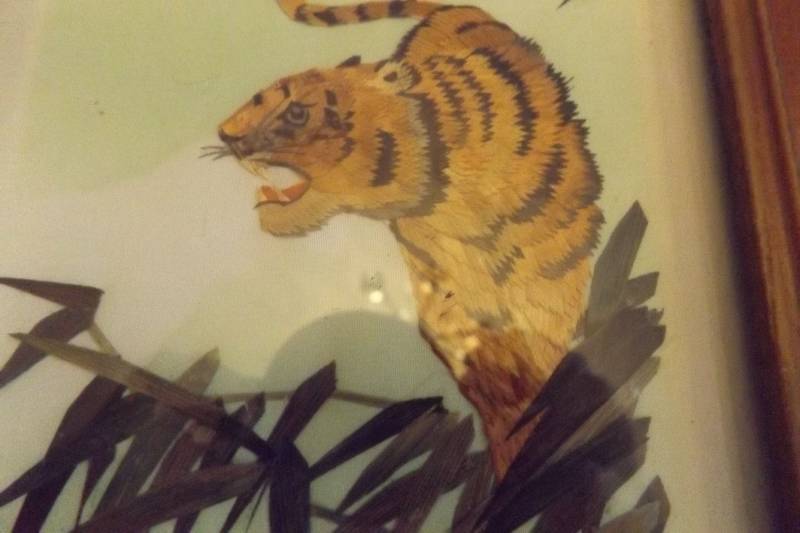 Wheat Tiger Picture