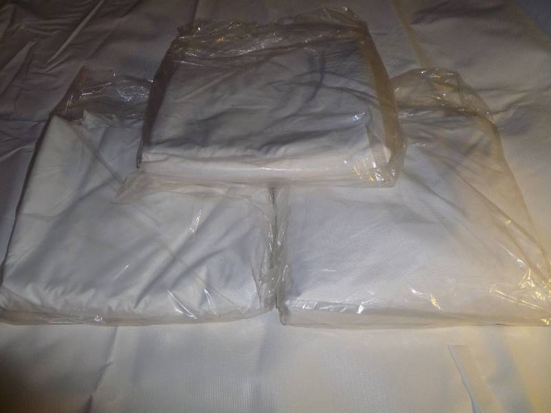 lot 149 image: NEW EZ UP Tent Sides, Tops & Replacement Parts