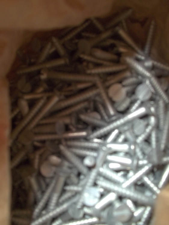 lot 118 image: 15lbs Of assorted wood screws