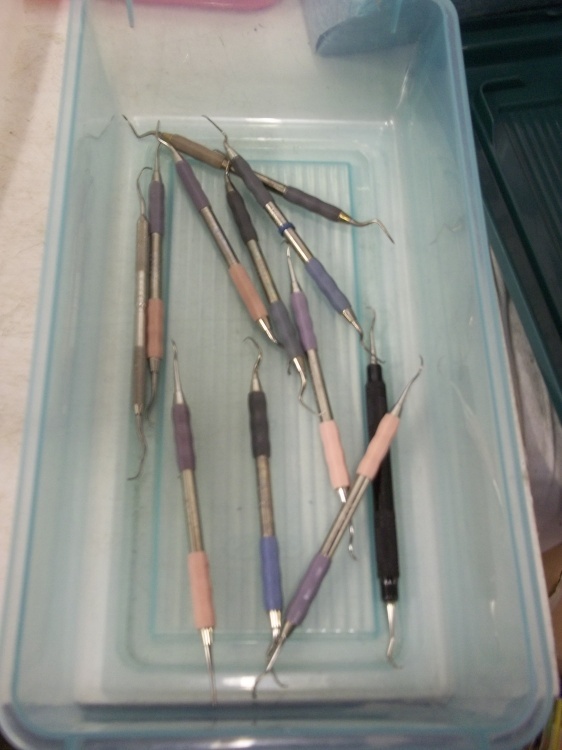 lot 360 image: 10 Assorted dental picks