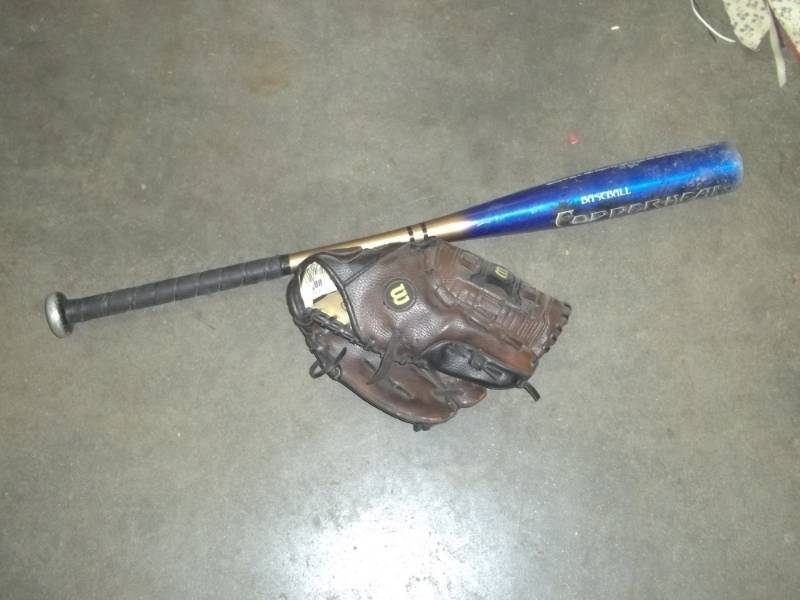 lot 373 image: Aluminum bat and glove