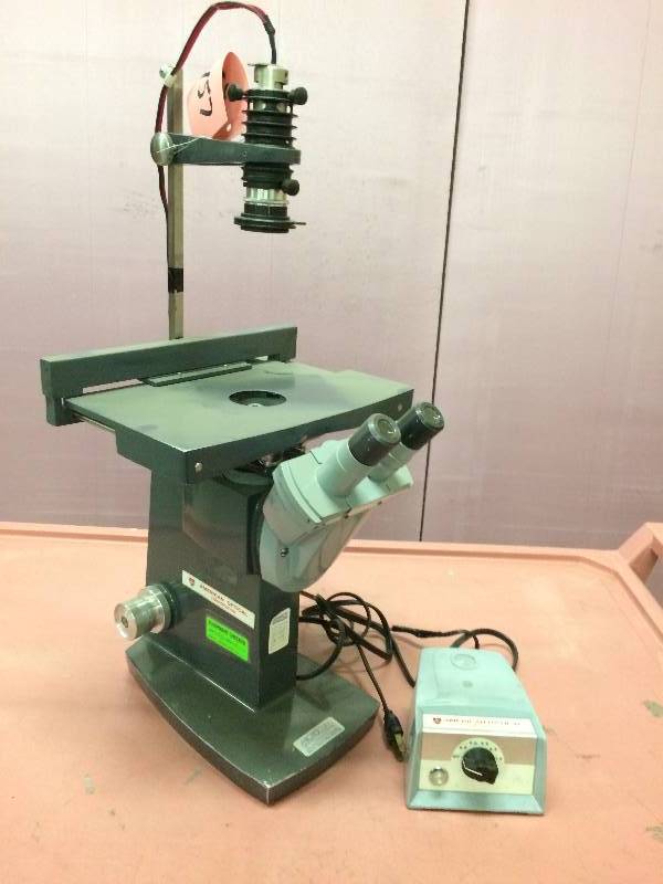 Retails Used $300 American Optical AO Inverted Microscope 1810 - Grey - Excellent Condition