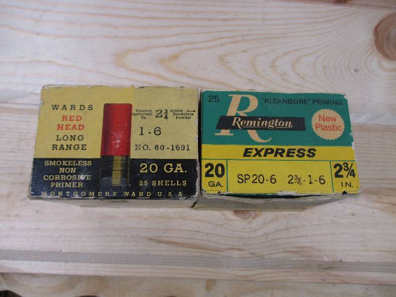 Collectible ammo - 20 GA