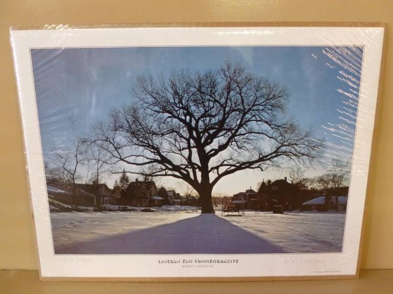 lot 250 image: Picture