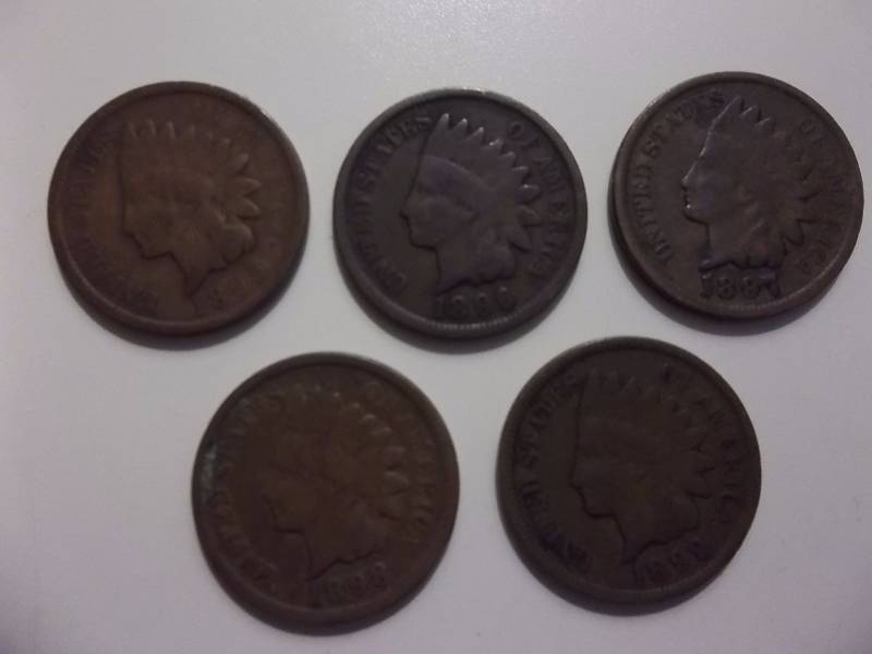 1895, 1896, 1897. 1898, 1899 Indian Head Cents Better Grades