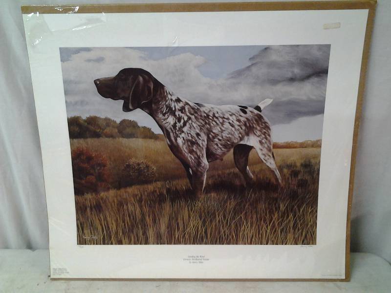 Signed & Numbered Scenting The Wind German Shorthair Pointer By Harry Tollas, 117680 26x22 12