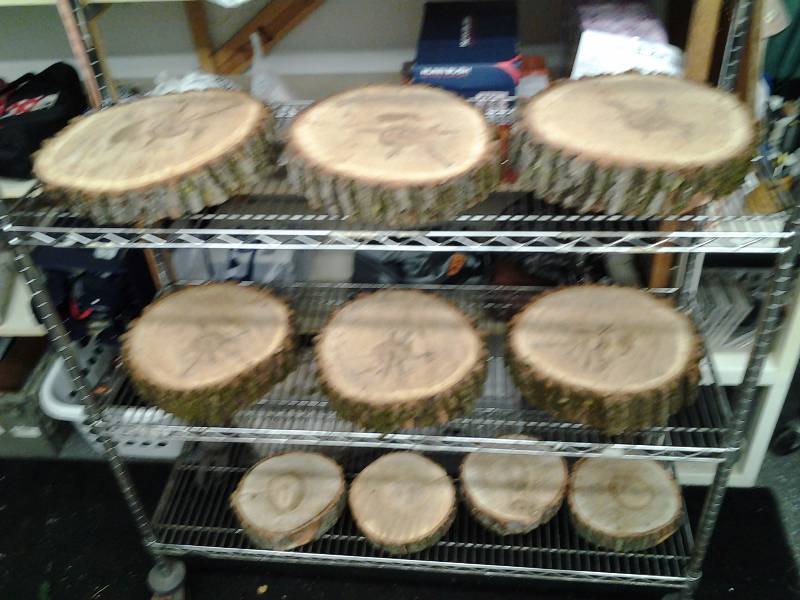 10 Tree Slabs With Natural Live Bark Edges (6-14 Inch Diameter & 4-10 Inch Diameter)