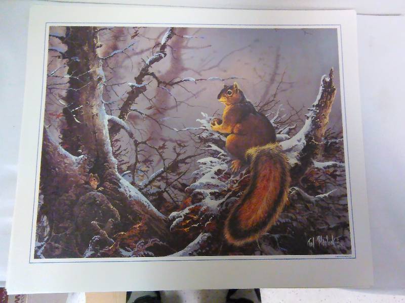 Vintage Ted Blaylock, set of 12, Nature Prints