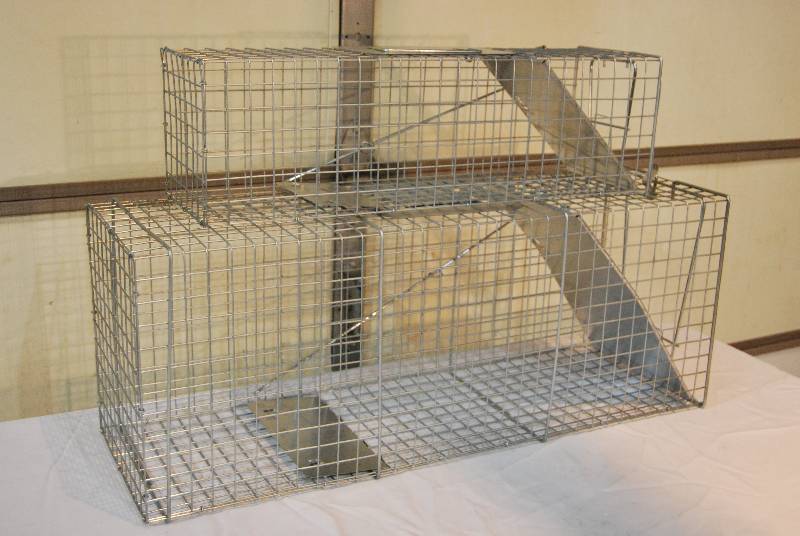Animal Traps