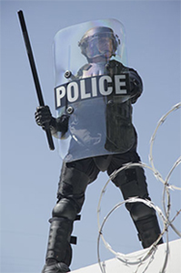 Paulson Mfg BS-9 Professional Body Shield