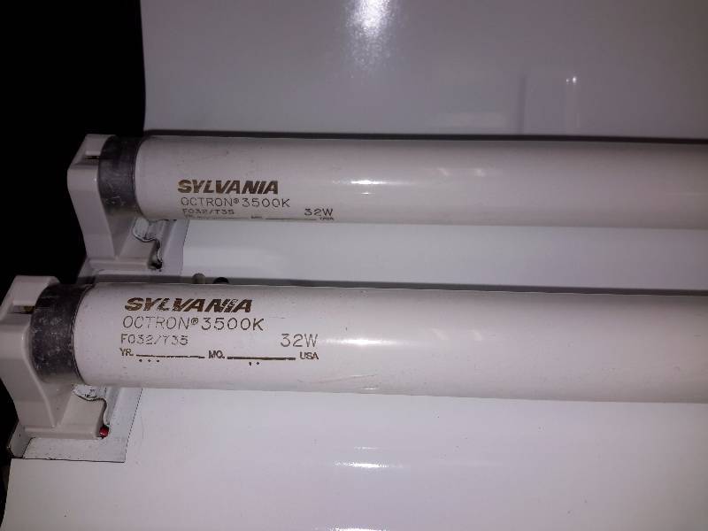 4, T8 type of 2 bulb fluorescent light fixtures.. With Plastic Covers