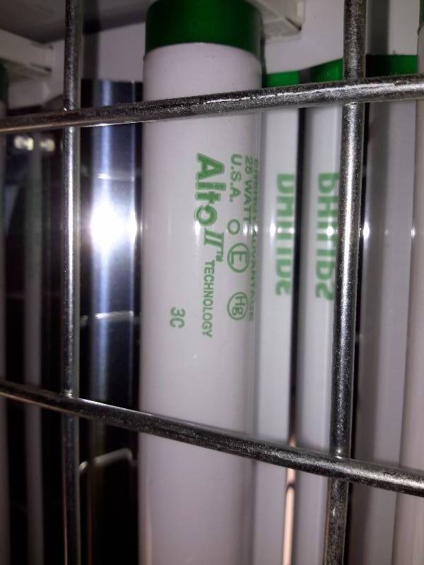 4, 6 Bulb Fluorescent Light with Grating and Motion Detector.  T8 Type bulbs.  High BAYS light fixtures.  (For high Ceilings)