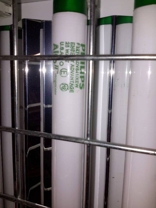 4, 6 Bulb Fluorescent Light with Grating and Motion Detector.  T8 Type bulbs.  High BAYS light fixtures.  (For high Ceilings)