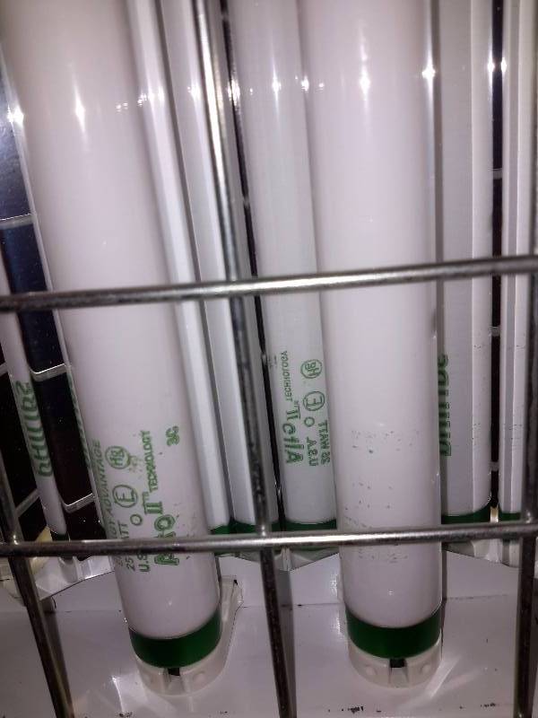 4, 6 Bulb Fluorescent Light with Grating and Motion Detector.  T8 Type bulbs.  High BAYS light fixtures.  (For high Ceilings)