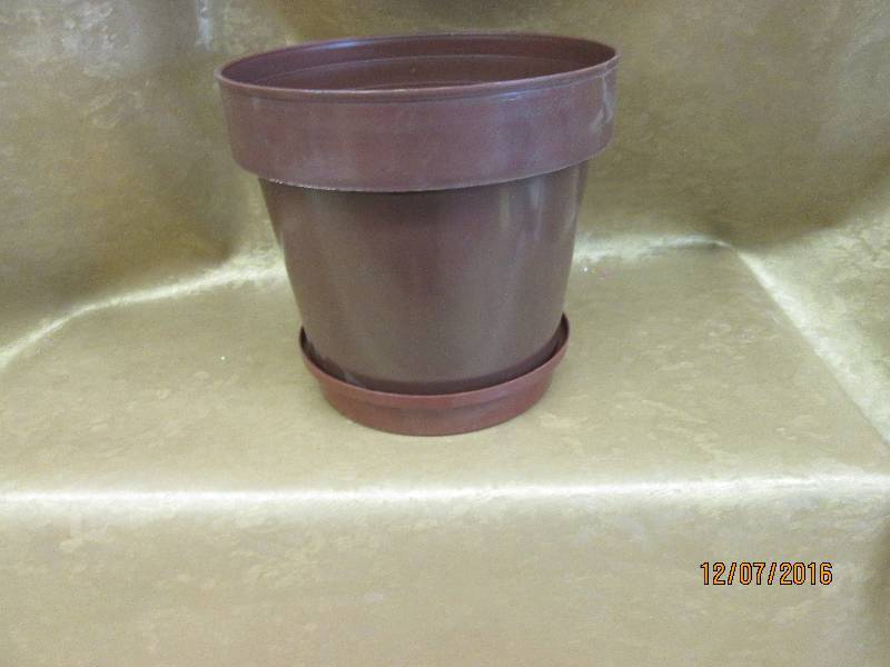 lot 32 image: Case of Brown Plastic 7 inch  Plant...