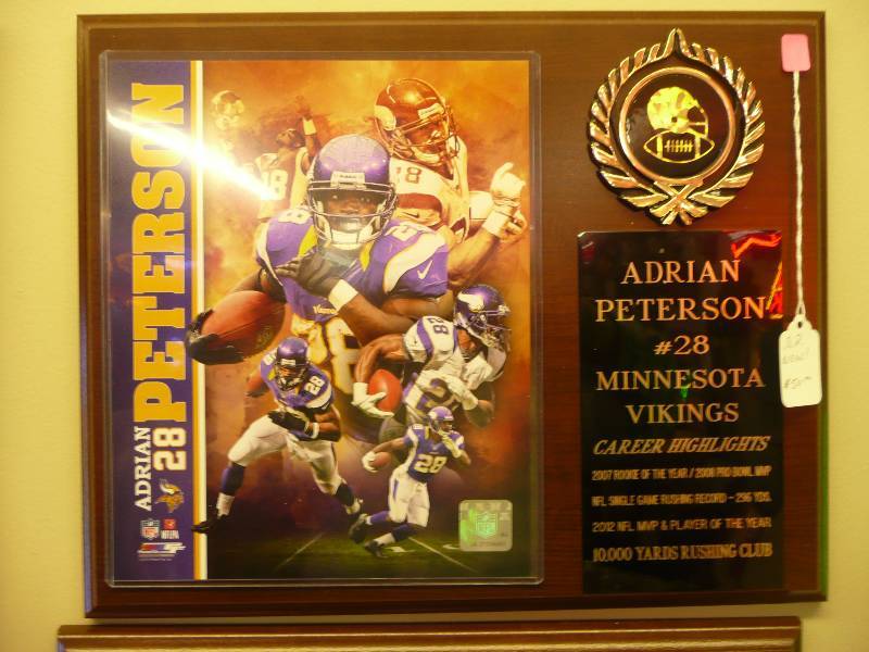 Brand New - Minnesota Vikings Adrian Peterson Career Plaque - Approx 15 by 11 12