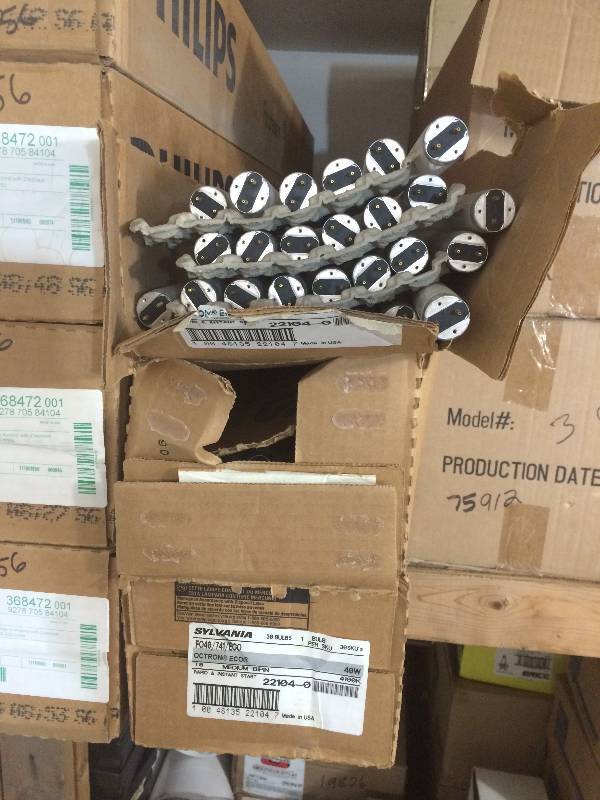 Flourescent Bulbs
