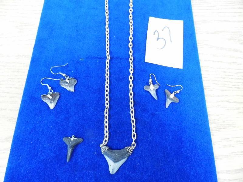 Shark Tooth Necklace, Pendant, Earrings