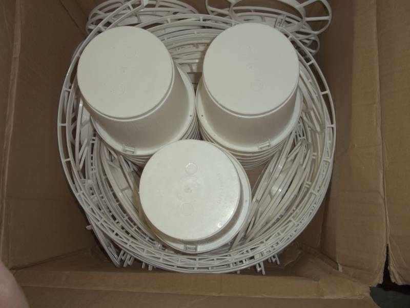 lot 34 image: Case of Plastic White Baskets  24 Quantity