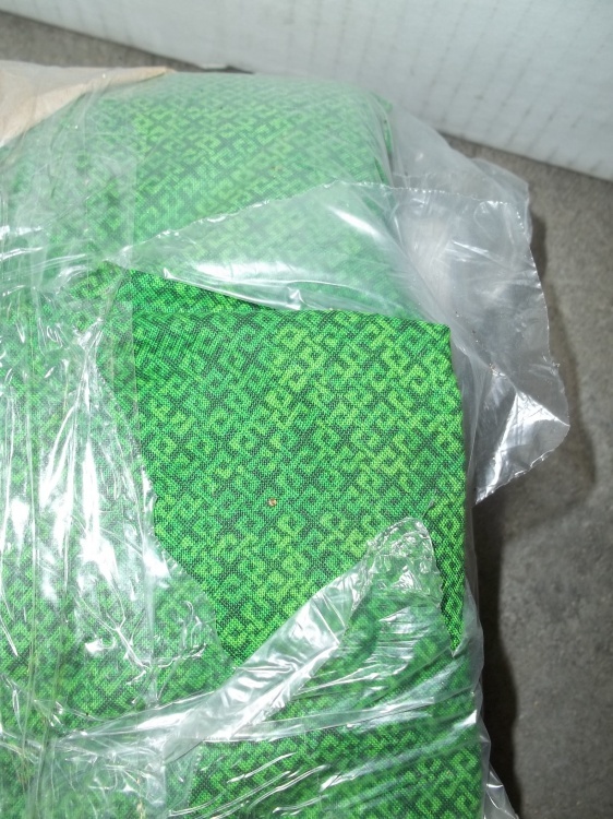 lot 48 image: 108 Wide Quilt Backing Green