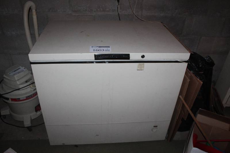lot 1603 image: Amana Freezer