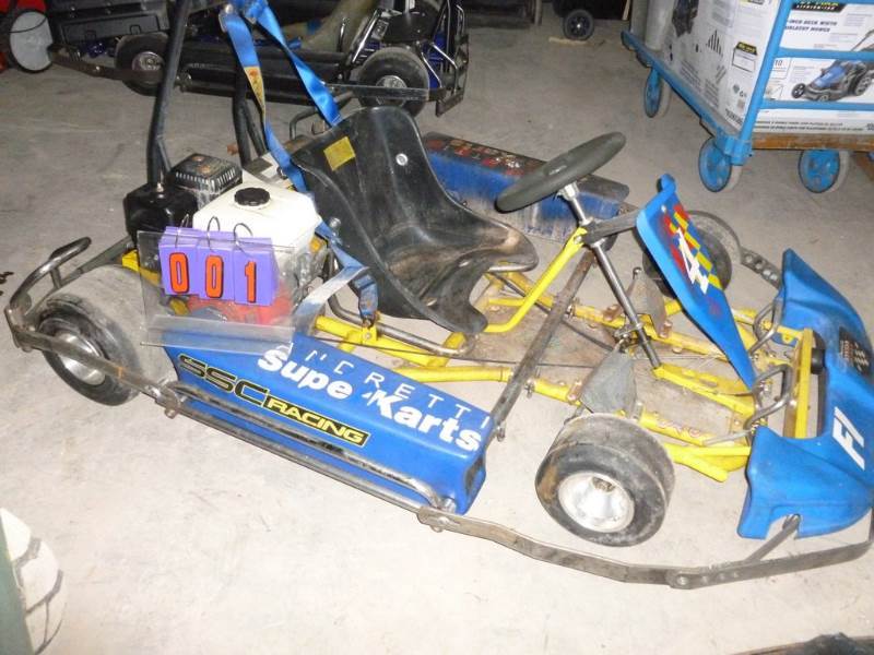 SnS Auctions # 240 Winter Sale