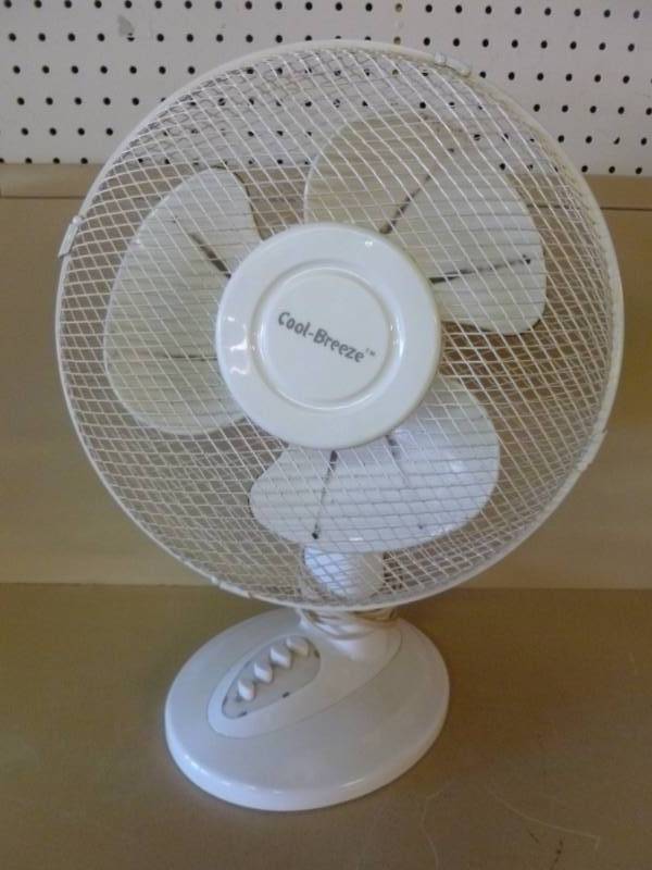 Fan