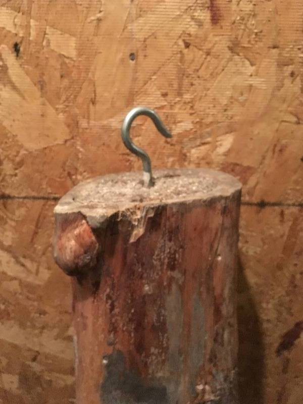 lot 14 image: Wood Log Burl