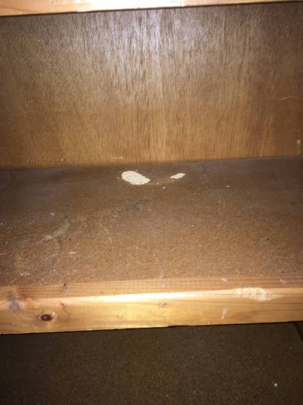 lot 51 image: Bookshelf