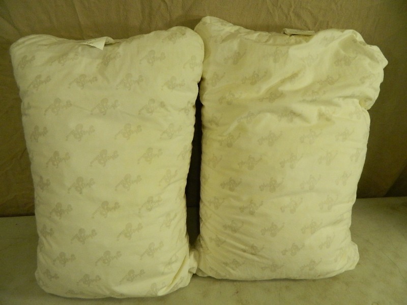 lot 15 image: 2 My Pillows