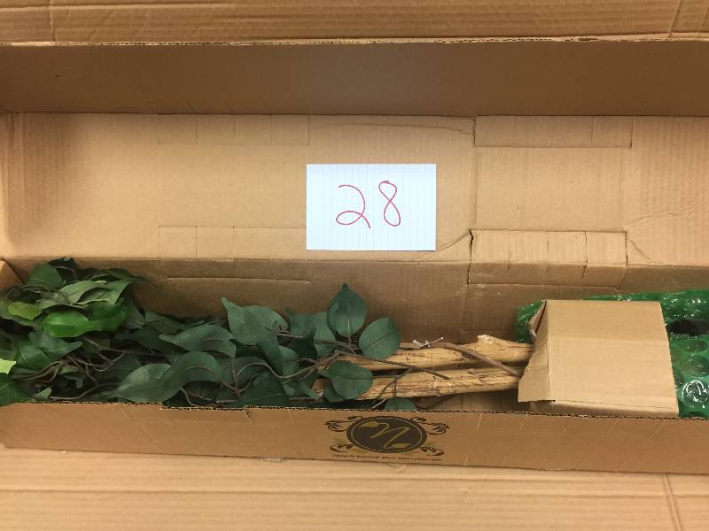 lot 28 image: Ficus 3-foot Silk Tree