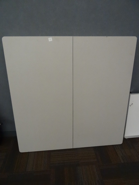 lot 61 image: 48 x 48 Presentation cabinet