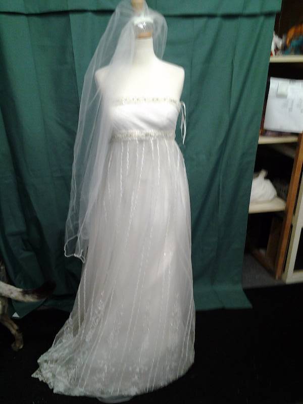 Pronovias With Veil Zipper Needs Repair Size 10