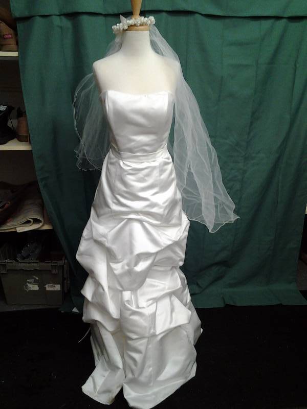 Ivory Dress With Veil Size 10