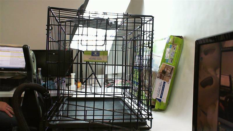 lot 517 image: Top Paw brand dog crate 24 inch double door for dogs 12-25 pounds Excellent condition open box