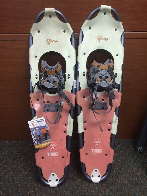 lot 6 image: Snowshoes