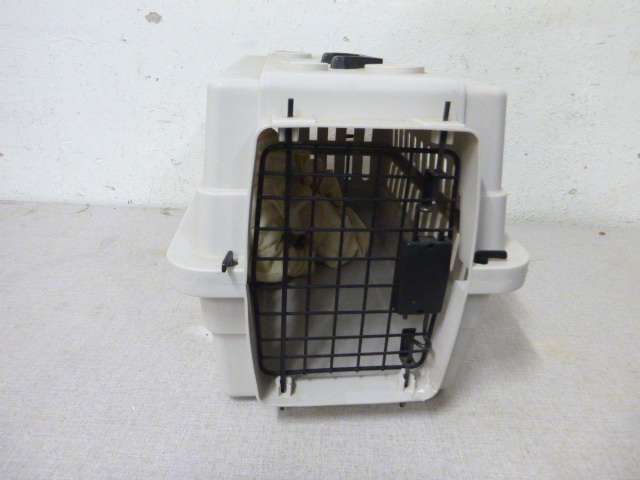 lot 65 image: Pet Taxi