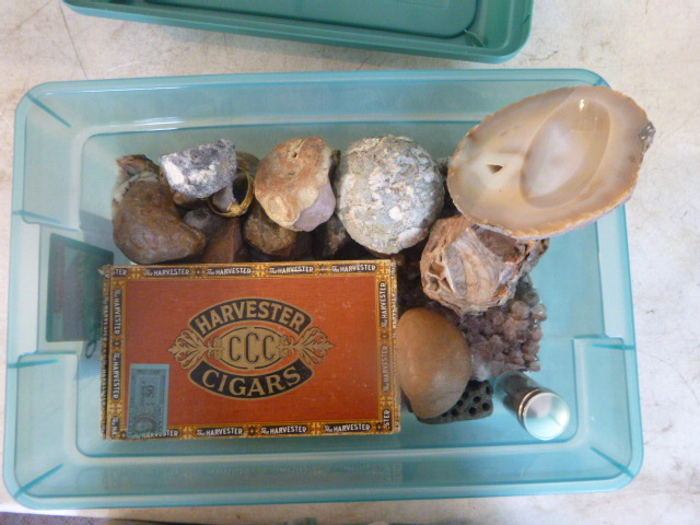 lot 204 image: Box of Rocks