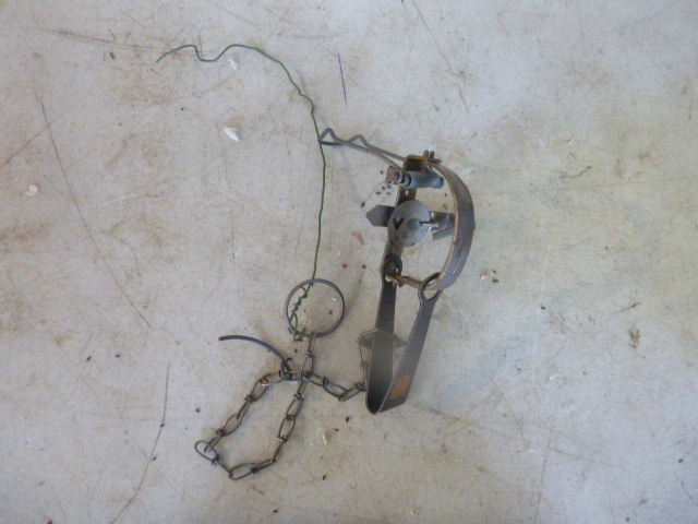 lot 209 image: Victor Stop Loss Trap