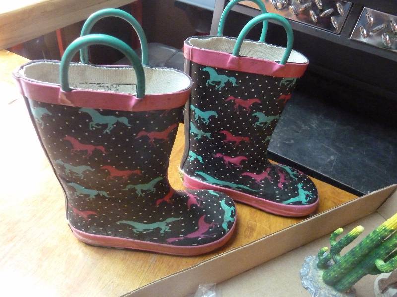 lot 3 image: Barn Boots and Western Decor
