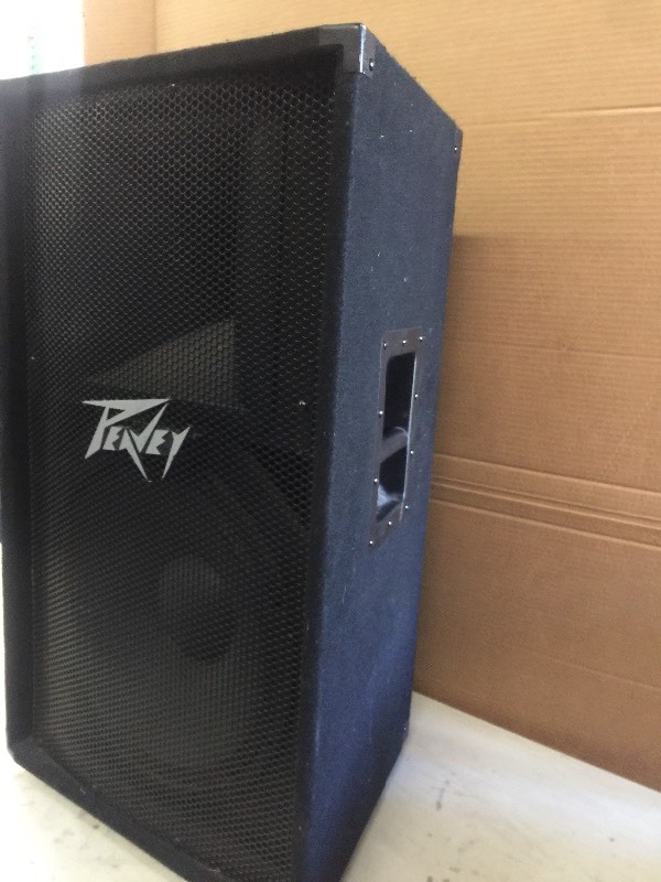 lot 10 image: PEAVEY SPEAKER