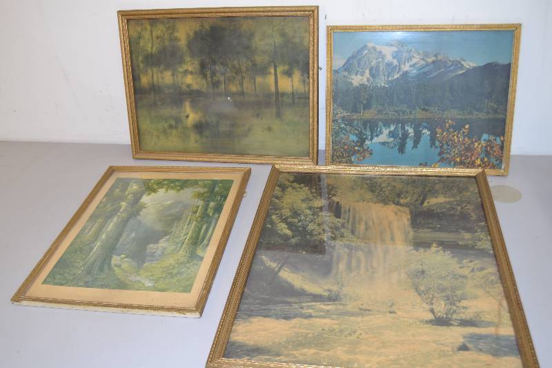 Vintage Nature Prints