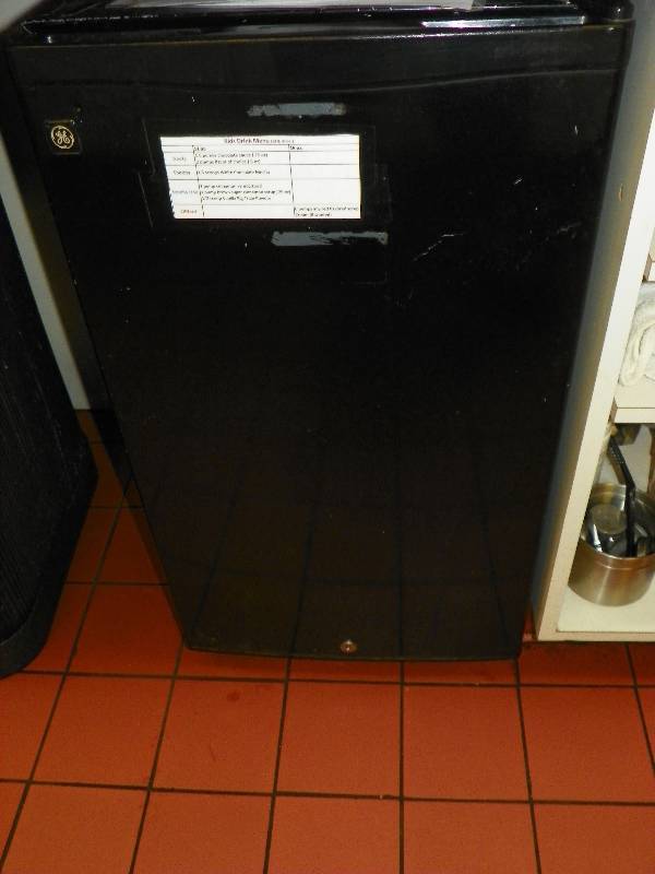 Mini Fridge