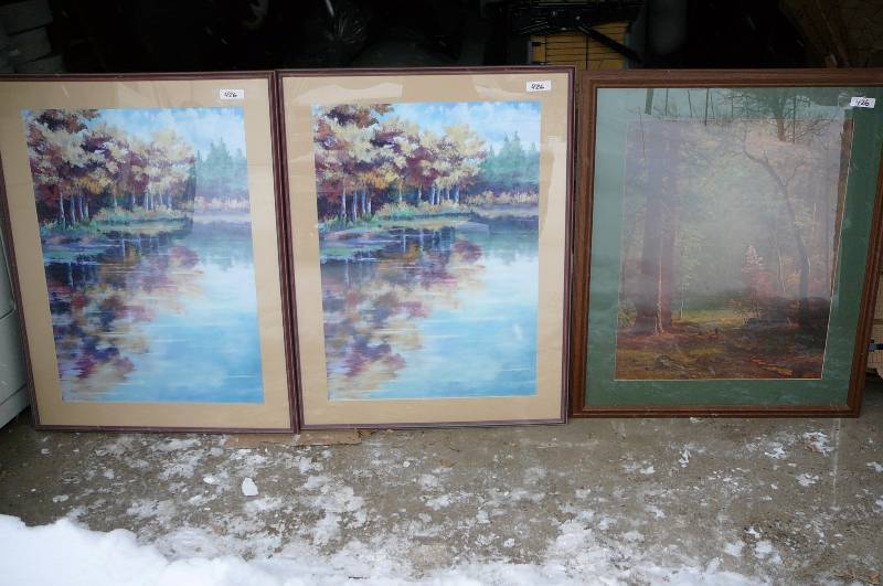 Lot of 3 Pictures